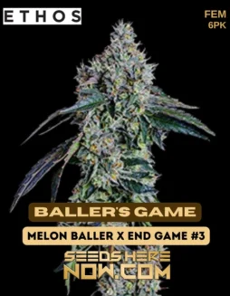 Baller's Game Feminized Cannabis Seeds by Ethos Genetics