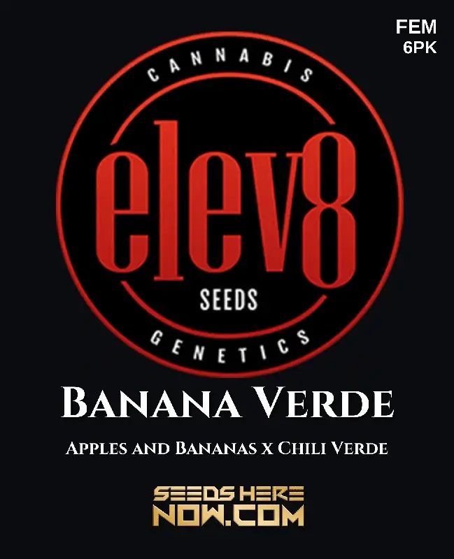 Banana Verde Feminized Cannabis Seeds by Elev8 Seeds