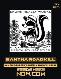 Bantha Roadkill cannabis seeds, a hybrid strain by Skunk Really Works