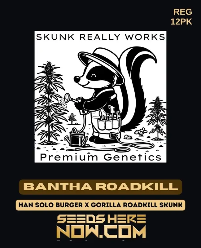 Bantha Roadkill cannabis seeds, a hybrid strain by Skunk Really Works