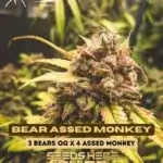 Bear Assed Monkey (Autoflower) - Mephisto Genetics