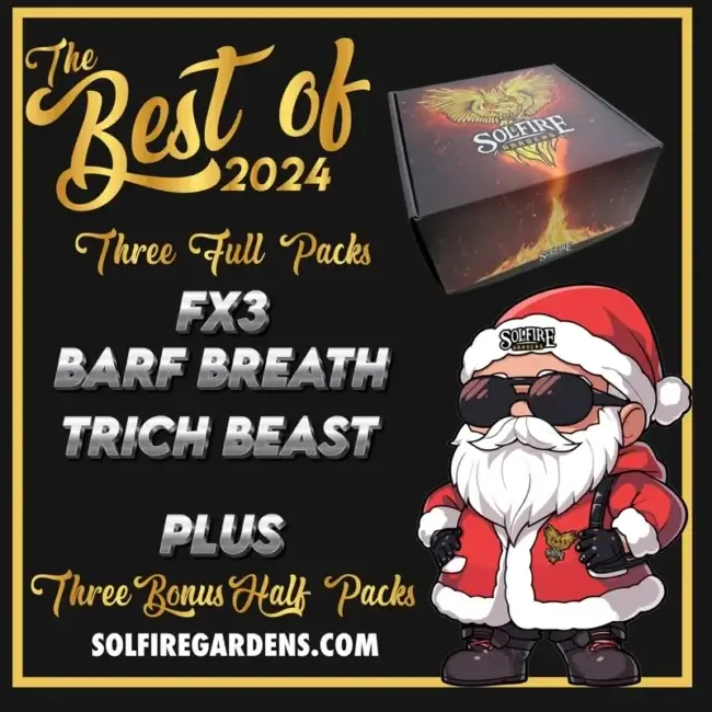 Packaging of Best of 2024 Box Set Feminized Cannabis Seeds by Solfire Gardens
