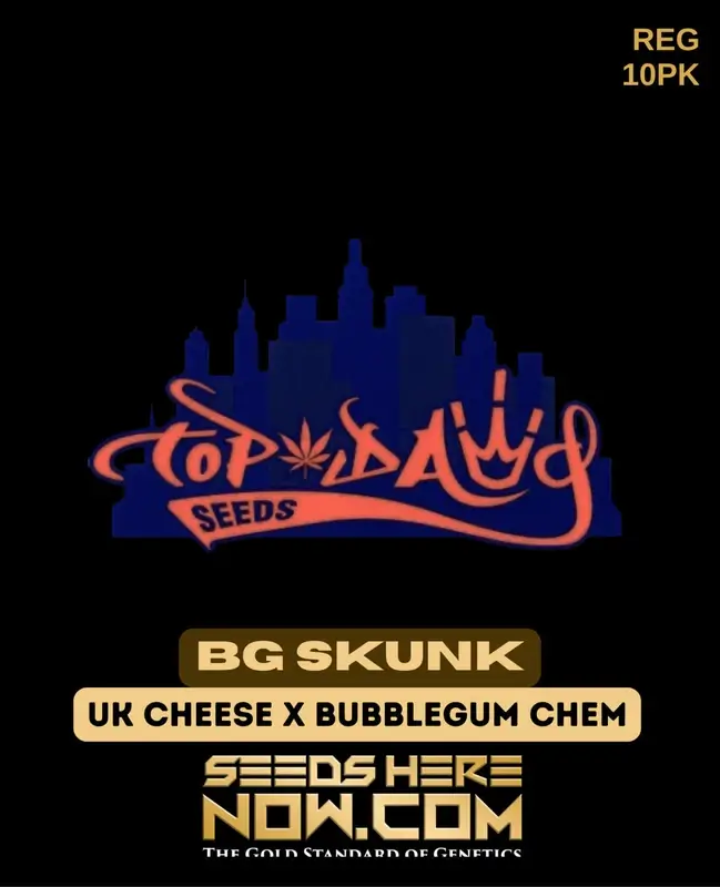 BG Skunk Regular Seeds from Top Dawg Seeds featuring UK Cheese and Bubblegum Chem genetics