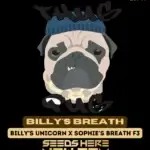 Billy's Breath (Regular) - Thug Pug Genetics