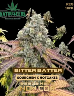 Packaging of Bitter Batter Regular Cannabis Seeds by Katsu Seeds