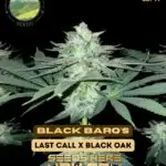 Black Barq’s (Regular) - Mountain Top Seeds