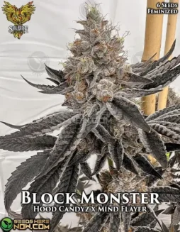 Block Monster feminized cannabis seeds by Solfire Gardens, featuring grape, gas, pine, and citrus flavors