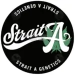 Blue Cherry Banana (Regular) - Strait A Genetics