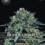 Blue Cookies S1 (Feminized) - Elite Clone Seed Company