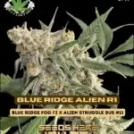 Blue Ridge Alien R1 (Feminized) - Eazy Daze Cultivators