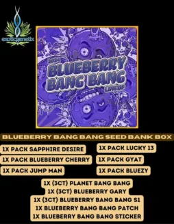 Blueberry Bang Bang cannabis seeds feminized by Exotic Genetix in packaging