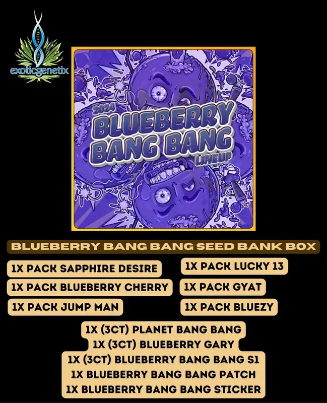 Blueberry Bang Bang cannabis seeds feminized by Exotic Genetix in packaging
