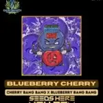 Blueberry Cherry (Feminized) - Exotic Genetix