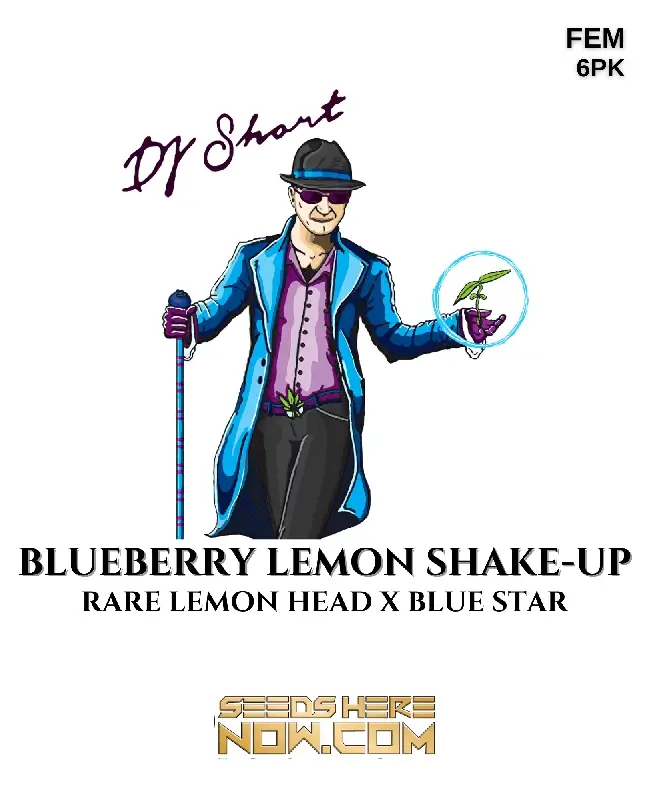 Blueberry Lemon Shake-Up cannabis seeds, a hybrid strain by DJ Short Seeds and Blue Star Seeds