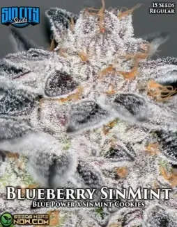 Blueberry SinMint regular cannabis seeds (space) Blue Power x SinMint Cookies