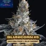 Blunicorn #5 (Feminized) - Pure XX
