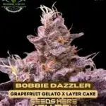Bobbie Dazzler (Feminized) - Precursor Genetics