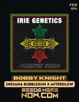 Packaging of Bobby Knight Feminized Seeds (space) Citrus, Pine, Earthy Aroma