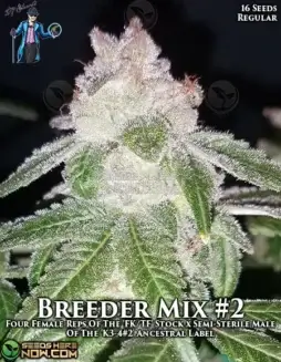 Packaging of Breeders' Choice Mix #2 Regular Cannabis Seeds by DJ Short Seeds