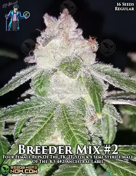 Packaging of Breeders' Choice Mix #2 Regular Cannabis Seeds by DJ Short Seeds