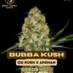 Bubba Kush (Regular) - Best Coast Genetics