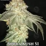 Bubba Kush S1 (Feminized) - CSI Humboldt