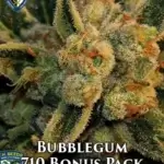 Bubblegum Bonus Pack (Feminized) - T.H. Seeds
