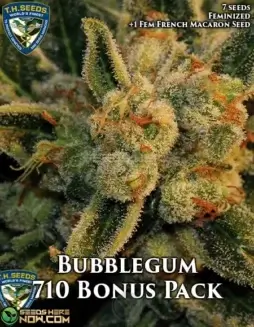 Bubblegum Bonus Pack Feminized Cannabis Seeds by T.H. Seeds
