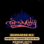 Burmese BX (Regular) - Top Dawg Seeds