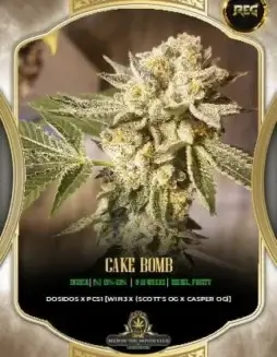 Cake Bomb cannabis seeds (space) Regular type by S.O.T.M., featuring Scott's OG and Casper OG lineage