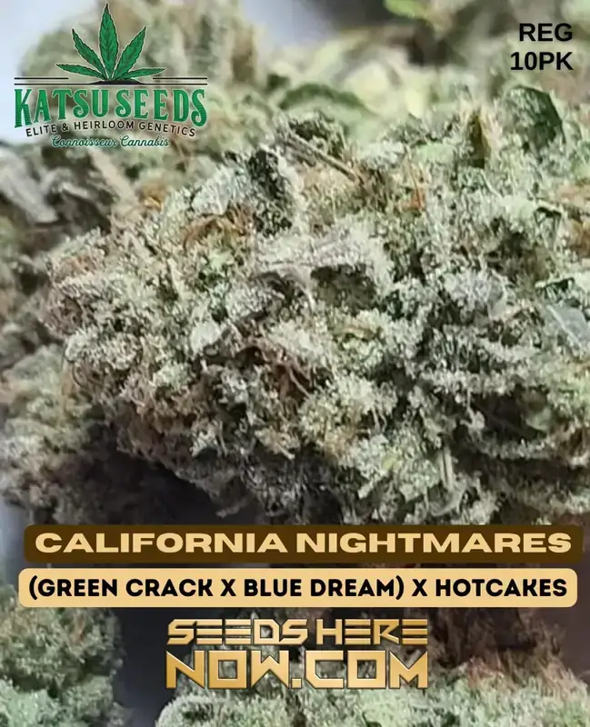 Pack of California Nightmares Regular Cannabis Seeds by Katsu Seeds