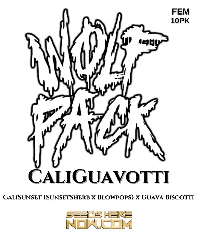 CaliGuavotti Feminized Seeds - Hybrid Cannabis by Wolfpack Selections