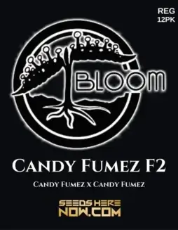 Candy Fumez F2 cannabis seeds by Bloom Seed Co., featuring sweet candy and fruity aromas