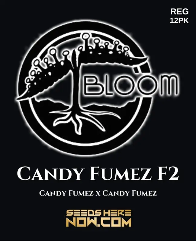 Candy Fumez F2 cannabis seeds by Bloom Seed Co., featuring sweet candy and fruity aromas