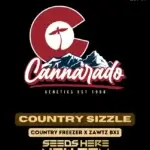 Country Sizzle (Regular) - Cannarado Genetics
