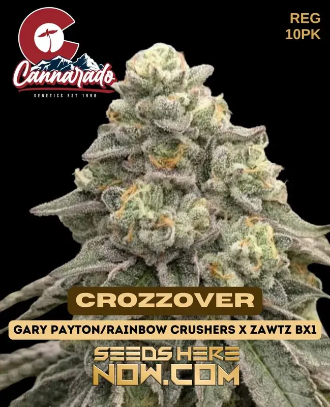 Cannarado Genetics Crozzover Cannabis Seeds - 10 Pack featuring Gary Payton, Rainbow Crushers, and Zawtz Bx1 Genetics