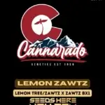 Lemon Zawtz (Regular) - Cannarado Genetics
