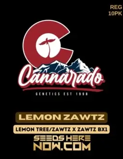 Pack of 10 Cannarado Genetics Lemon Zawtz cannabis seeds, hybrid strain with lemon zest and candy flavors