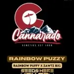 Rainbow Puzzy (Regular) - Cannarado Genetics