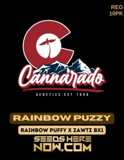 Cannarado Genetics Rainbow Puzzy regular seeds pack, featuring hybrid strain of Rainbow Puffy and Zawtz Bx1 with sweet candy and tropical fruit flavors.
