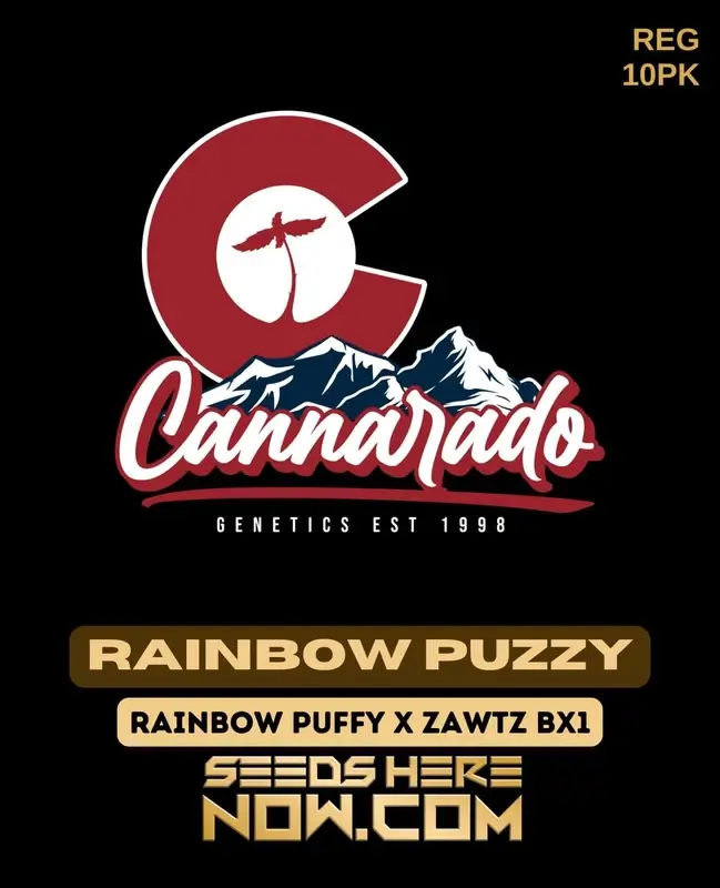 Cannarado Genetics Rainbow Puzzy regular seeds pack, featuring hybrid strain of Rainbow Puffy and Zawtz Bx1 with sweet candy and tropical fruit flavors.