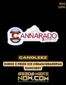 Canoleez regular cannabis seeds by Cannarado Genetics featuring hybrid Euroz and Fried Ice Cream lineage