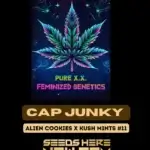 Cap Junky S1 (Feminized) - Pure XX