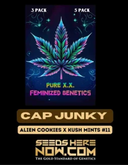 Cap Junky S1 Feminized Seeds (space) High THC Cannabis by Pure XX