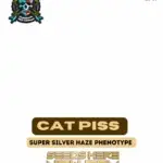 Cat Piss (Feminized) - Elite Clone Seed Company
