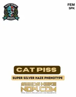 Cat Piss strain feminized cannabis seeds in packaging