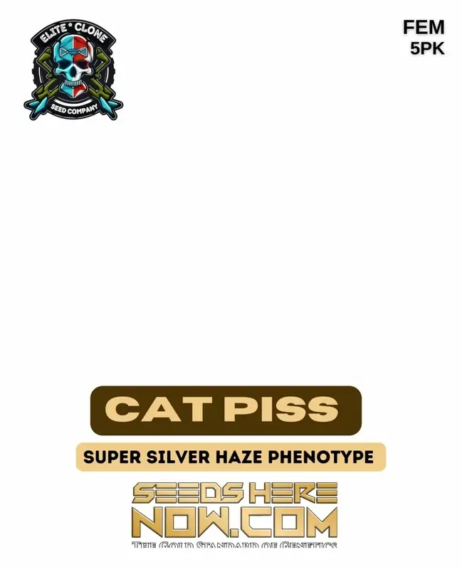 Cat Piss strain feminized cannabis seeds in packaging