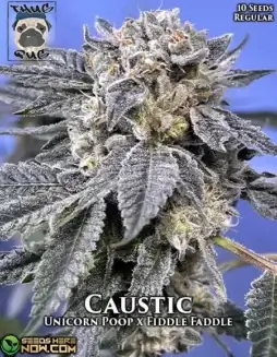 Caustic cannabis seeds by Thug Pug Genetics, a hybrid strain from Unicorn Poop and Fiddle Faddle with 20(space)25% THC