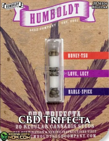 CBD Trifecta cannabis seeds by Humboldt Seed Company, a hybrid strain with citrus and floral aroma