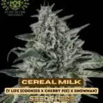 Cereal Milk S1 (Feminized) - Elite Clone Seed Company